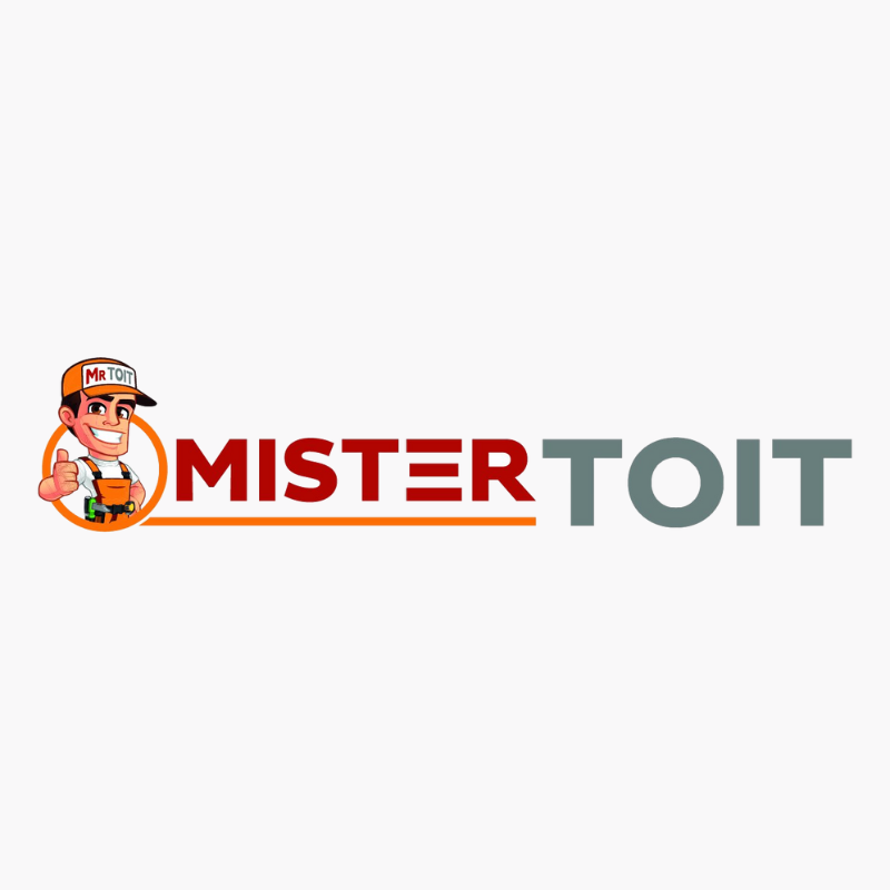 Mister TOIT